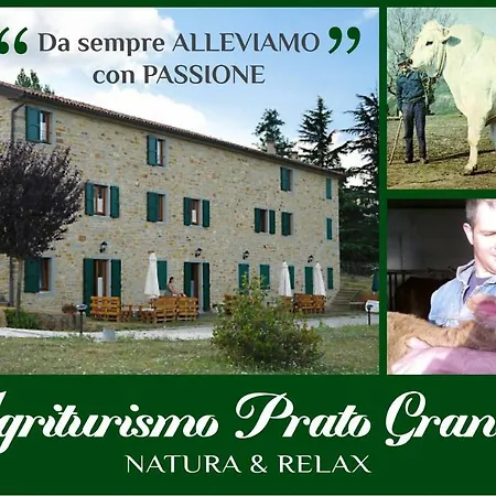 Prato Grande * Loiano