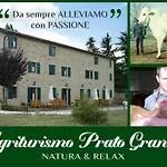 Prato Grande * Loiano