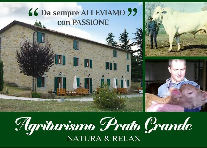 Prato Grande * Loiano